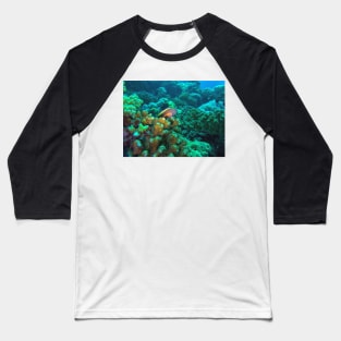 Freckled hawkfish Baseball T-Shirt